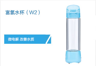 富氢水杯（W2）
